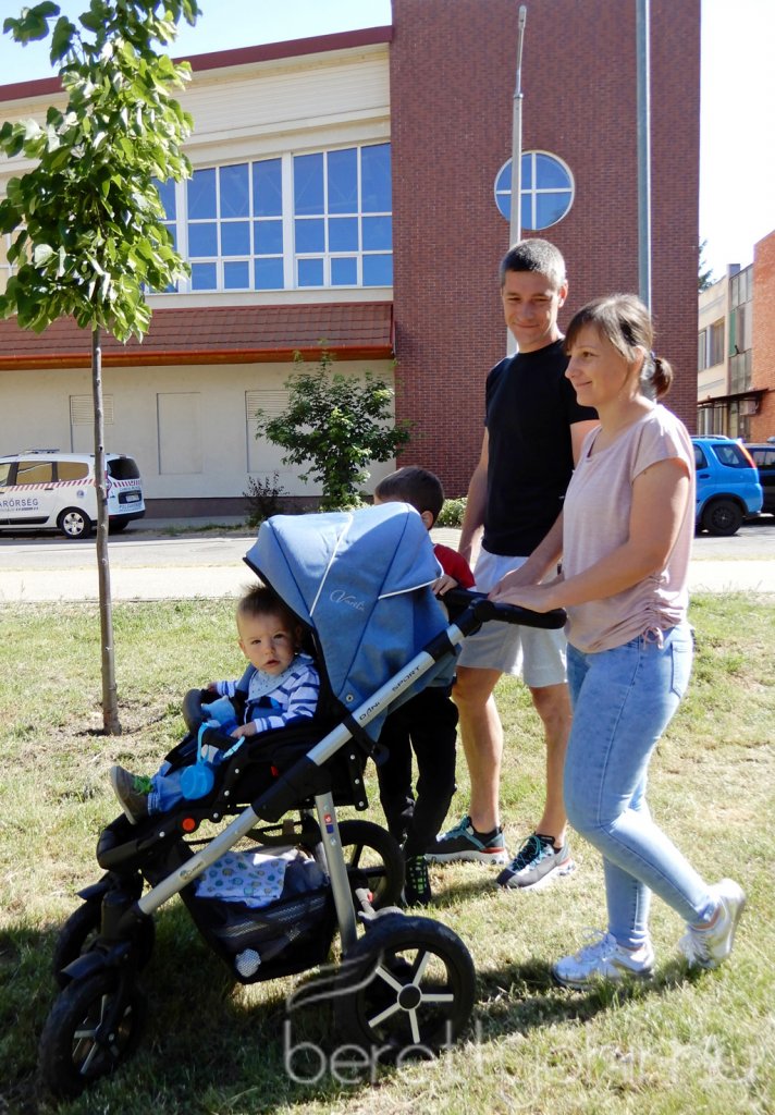 Életfa ültetés a város napján 17